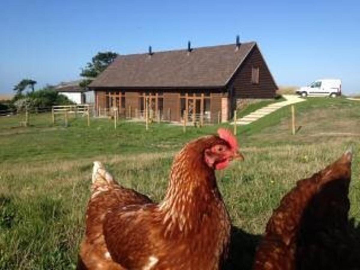Bike Shed - Beautiful 1-Bed Cottage In Shorwell Экстерьер фото