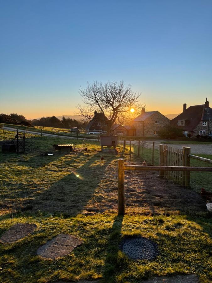 Bike Shed - Beautiful 1-Bed Cottage In Shorwell Экстерьер фото